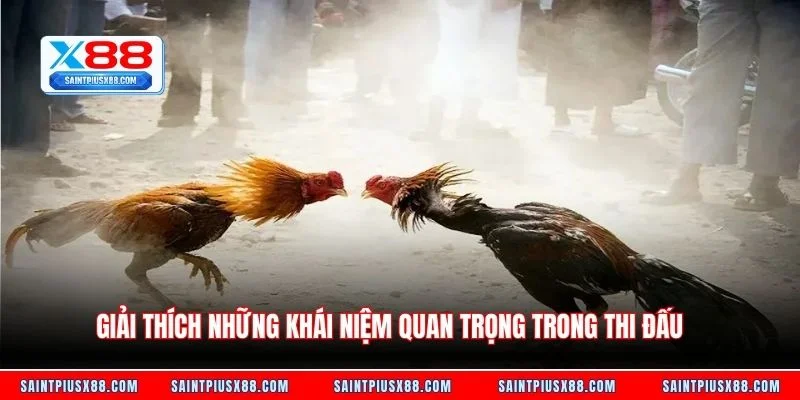 Giải thích những khái niệm quan trọng trong thi đấu